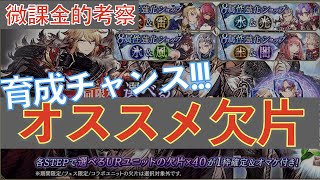 【FFBE幻影戦争】育成チャンス！選べるURユニットの欠片 微課金的おすすめ紹介【WOTV】