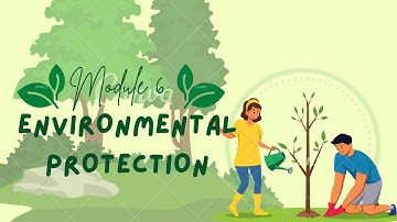 NSTP Module 6: Environmental Protection, Activity 1- Performance