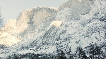 Not Your Dope ft. MAX - Indestructible (dEF Remix)