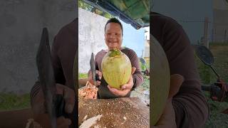 Fresh Coconut Cutting ASMR #food #viral #fruit #coconut #satisfying #freshcoconutwater