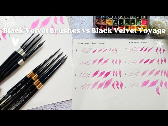 Let's Compare Silver Brush Black Velvet vs Black Velvet Voyage 