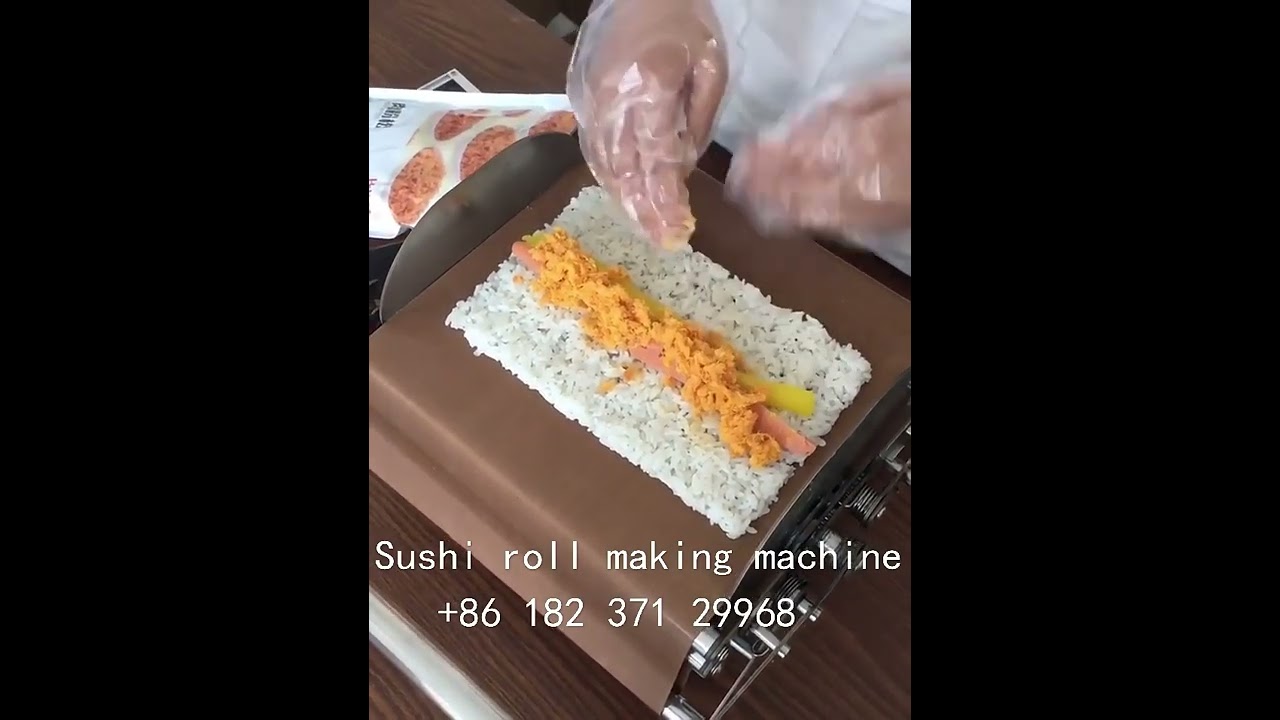 Fashion Easy To Use Perfect DIY Roller Machine Roll Sushi Maker