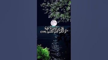 سورة (المؤمنون) اني جزيتهم اليوم بما صبرو انهم هم الفائزون: اسلام صبحي #fypppppppppppppppppppppppppp