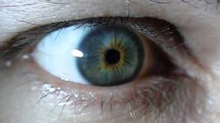 IRIS in Slow Motion (My Eye)