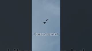 B2 Bomber Plane (2 Battery)
