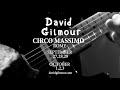 David gilmour  rome shows announced at circo massimo