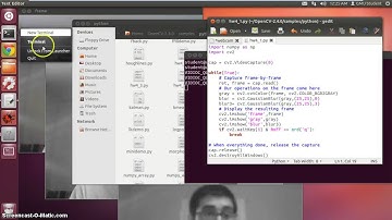 Applying Filtering Effects to a webcam feed - Graying and Blurring - openCV part 1