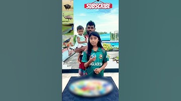 Memory Game-Birds Name? #short #challenge