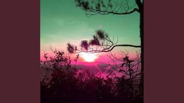 Pulsating Fresh Days