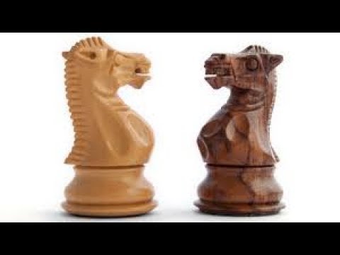 Video: Katera Je Za Vas Najboljša Igra V šahu? Tukaj Je Naš Priročnik Za Glavne Igralce