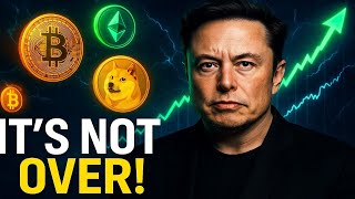 How Elon Musk’s 3-Word Tweet Resurrected Crypto (The Untold Story)
