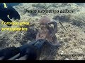 Pesca submarina Pulpos en invierno consejos para principiantes octopus spearfishing