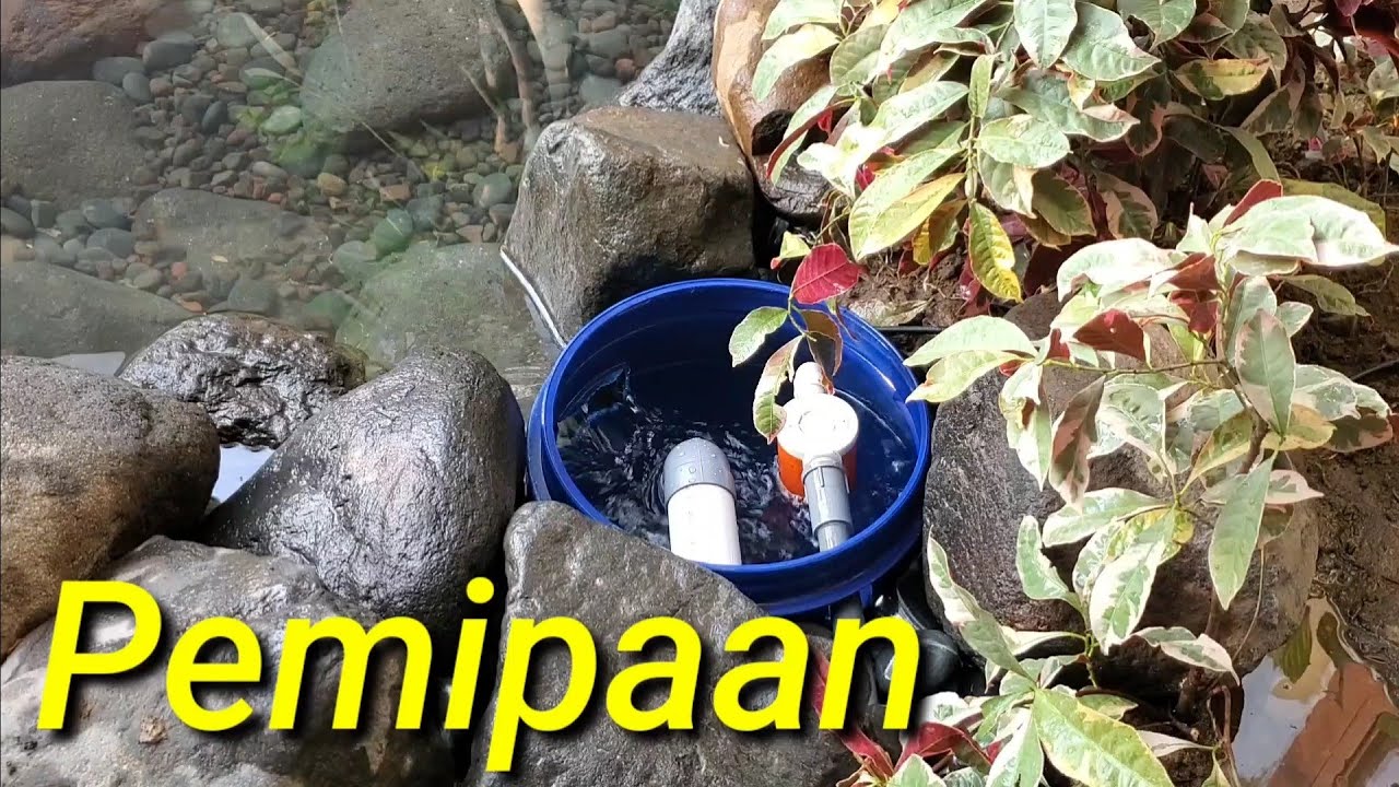 Pemipaan kolam alami dengan sungai 2 meter