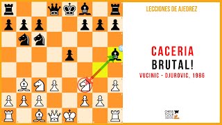 Lección de ajedrez: Cacería brutal! Vucinic - Djurovic, 1986