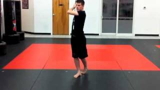 Segment 4 - Mid-Range Jahng Bong (ATA Bo Staff) Training