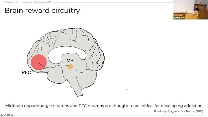 CCMB Seminar 10/19/2022 - Hyejung Won, PhD