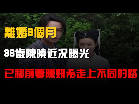 離婚9個月,38歲陳曉近況曝光,已和前妻陳妍希走上不同的路