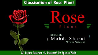 Rose Classification || Speaker Mohd. Sharuf || Physics Professor