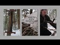 Winter hot tent trip  part 2  harvesting good firewood
