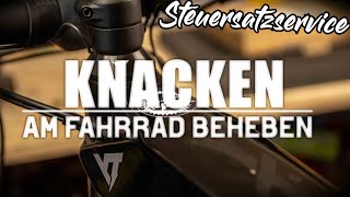 Knacken am Fahrrad/EBike beheben  Steuersatz Service leicht gemacht