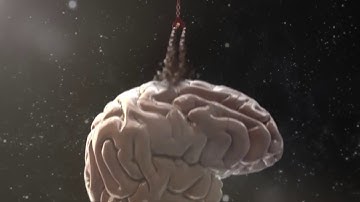 Mapping the human connectome