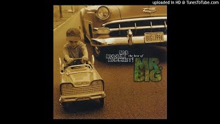 Video thumbnail of "15 - Mr. Big - Unnatural (Album: Big, Bigger, Biggest The Best Of)"