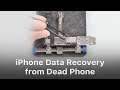 Iphone data recovery from dead logic board  phone