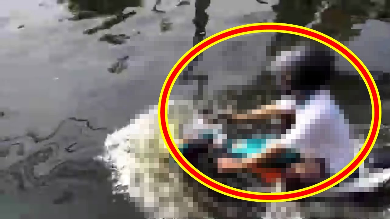 2017Honda does not collapse Bike & Underwater motorcycle abroad Noisy web video full loading summary