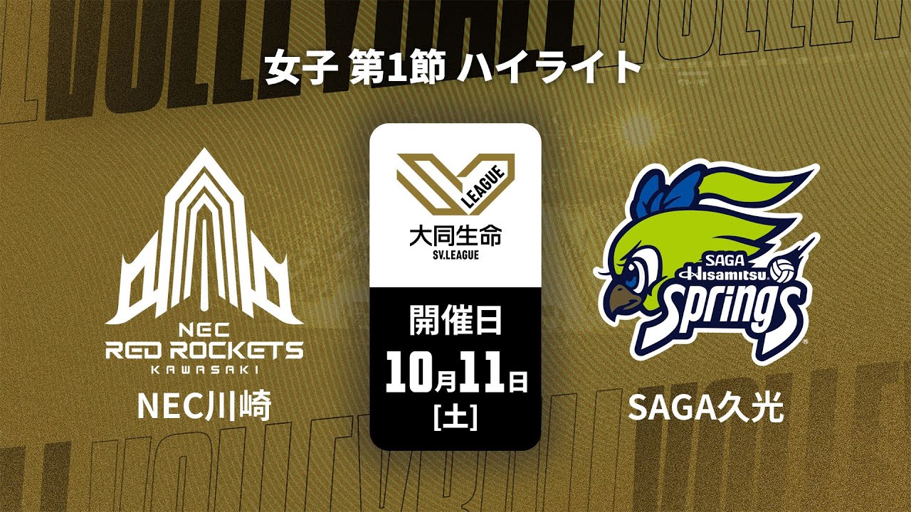 SAGA久光スプリングス | チーム紹介 | 大同生命SVリーグ女子 2025-26