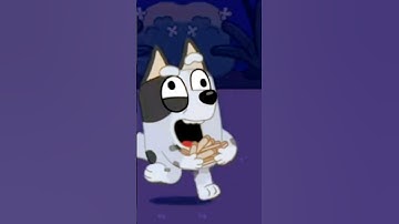 funny bluey scenes :] #bluey #blueybingo #muffin #socks #funny #shorts