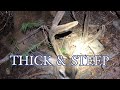 Thick  steep  2020 california public land archery hunt  caccia outdoors