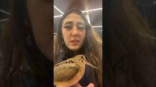 Lady Kiss a Bird and Calls It Her Baby While Defending It