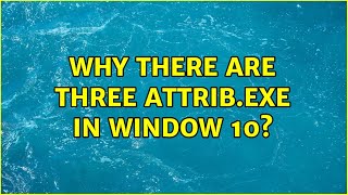 Why there are three attrib.exe in window 10