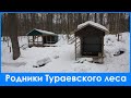 Родники Тураевского леса / Springs of the Turaevsky forest