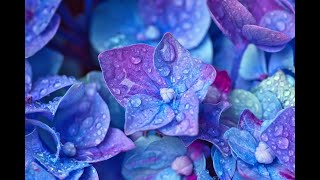 Inner tranquility relaxing music for Stress relief, Studying, Concentration, Sleep, Meditation focus