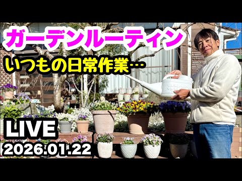 ◇【日常作業をLIVEでお届けします】ゆるふわ園芸やっちゃんねる