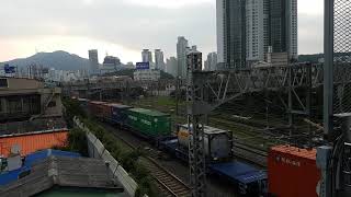 7624호 디젤기관차 부산진발 오봉행 3622 컨테이너 화물열차