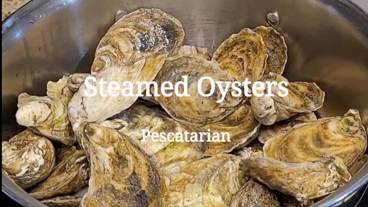 Steamed Oysters