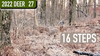 Late Season Stalk Hunt - Doe at 16 YARDS
