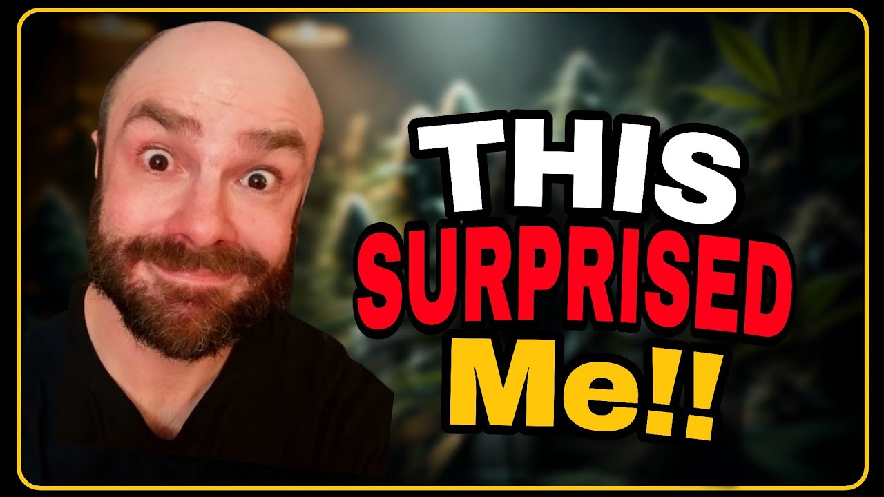 The Pro's Guide to Cloning Cannabis | Step by Step