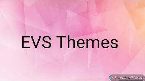 Themes of EVS