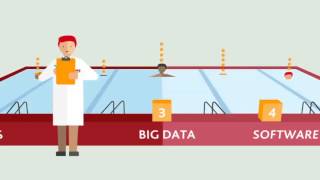 What is Talent Pooling?