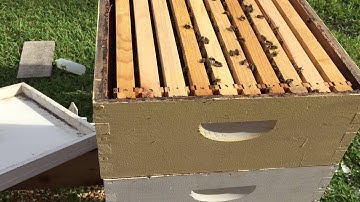 The installation of hive beetle blaster