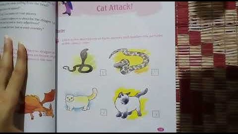 G-4 English Unit#4 Video 9