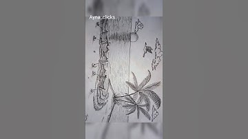 Beautiful nature pencil art #viral #trending #shortvideo #shorts #short #youtubeshorts #youtube #wow