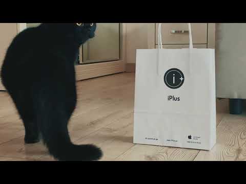 Black Friday-ის ფასდაკლებები დაიწყო