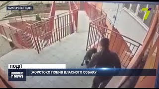 Одесит жорстоко побив власного собаку: кінологи запрошують на заняття Одесит жорстоко побив власного собаку: кінологи запрошують на заняття