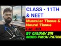 Muscle tissue &amp; Neural tissue, Animal tissues by GAURAV SIR for NEET 26 