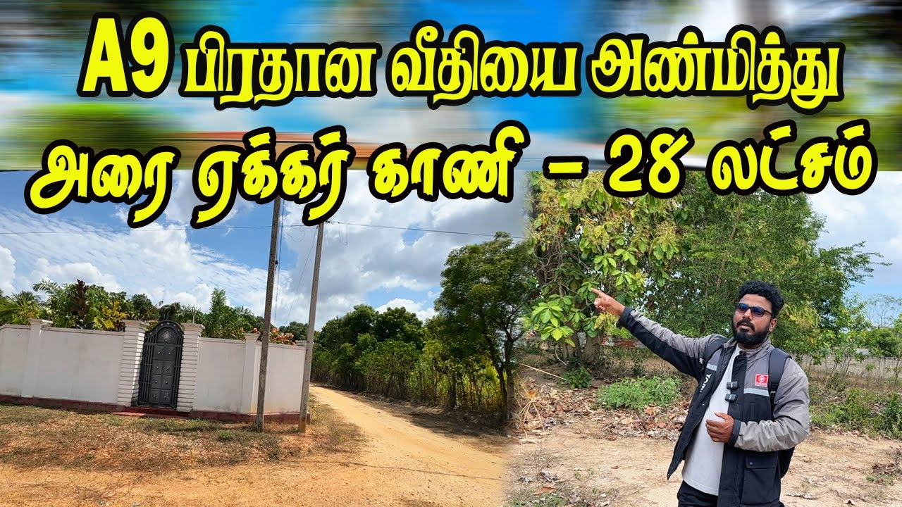 மலிவு விலையில் அரை ஏக்கர் காணி விற்பனைக்கு- வைத்தியசாலைக்கு அருகில் #realestate #jaffna #kiliochchi