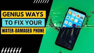 What to Do If You Drop Your Phone In Water?Amazing Tricks to Recover Phone by Cool Mobile Holders 105 views 3 weeks ago 2 minutes, 6 seconds